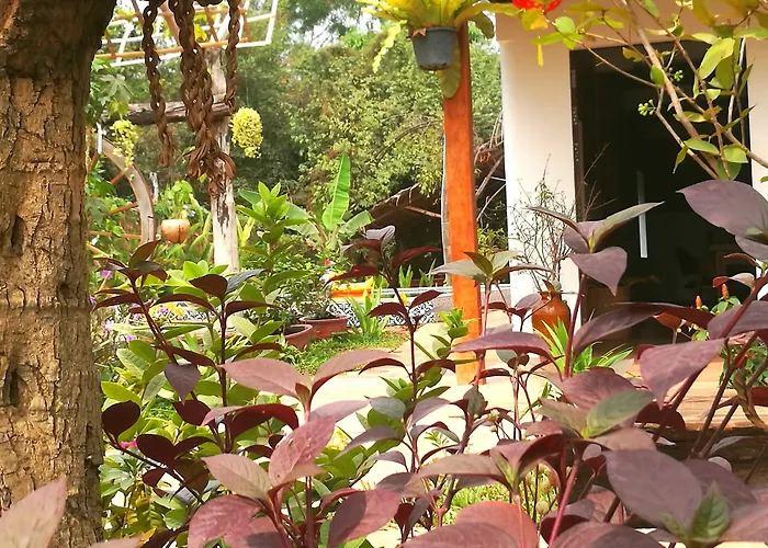 Angkor Dino 3*